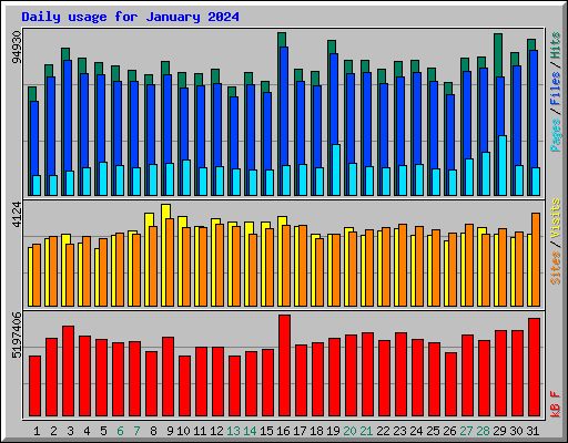 Daily usage for January 2024