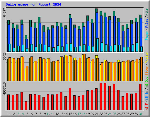 Daily usage for August 2024