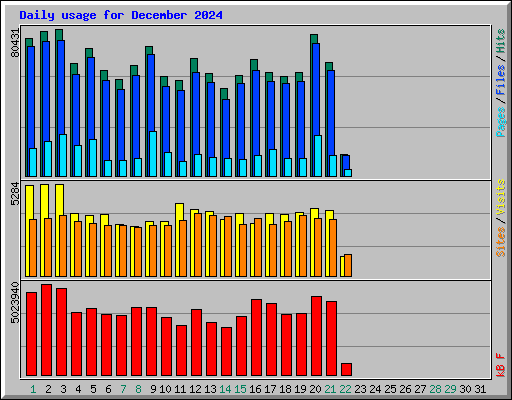 Daily usage for December 2024