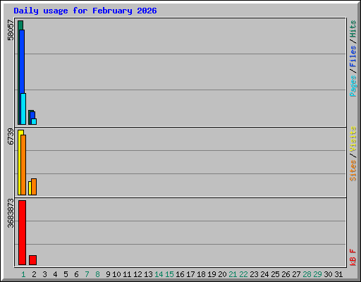 Daily usage for February 2026