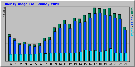 Hourly usage for January 2024