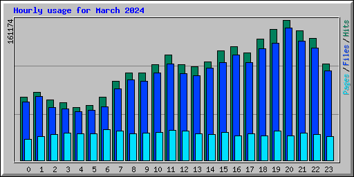 Hourly usage for March 2024