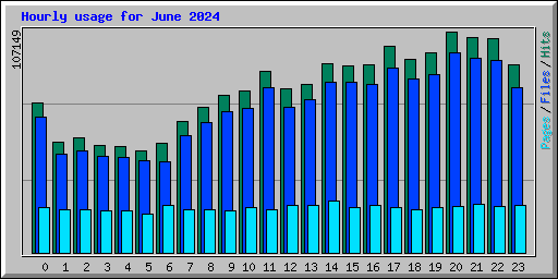 Hourly usage for June 2024