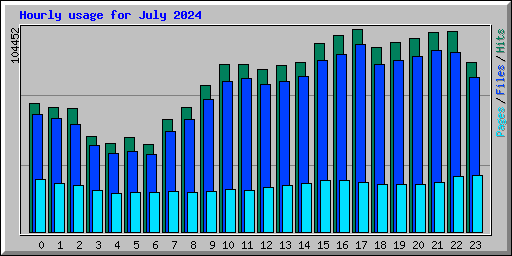 Hourly usage for July 2024