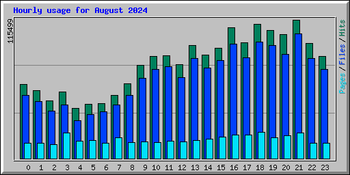 Hourly usage for August 2024