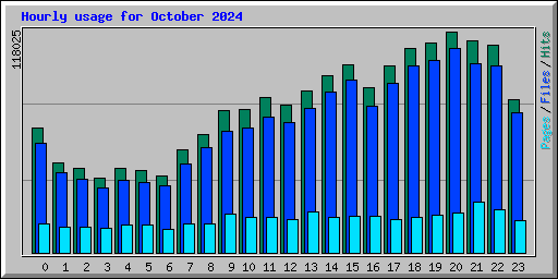 Hourly usage for October 2024