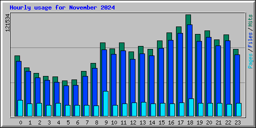 Hourly usage for November 2024