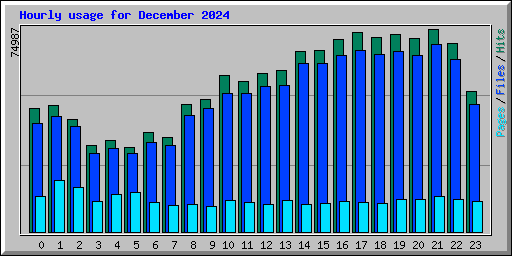 Hourly usage for December 2024