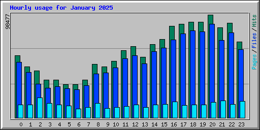 Hourly usage for January 2025