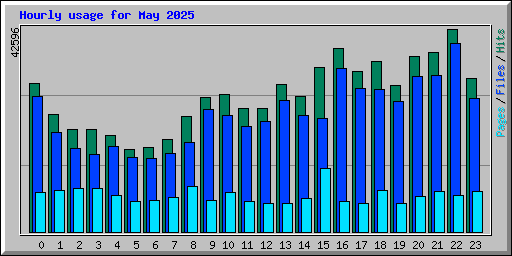 Hourly usage for May 2025