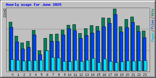 Hourly usage for June 2025