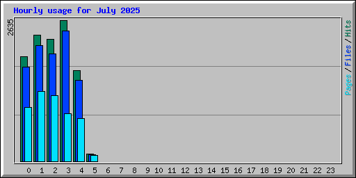 Hourly usage for July 2025