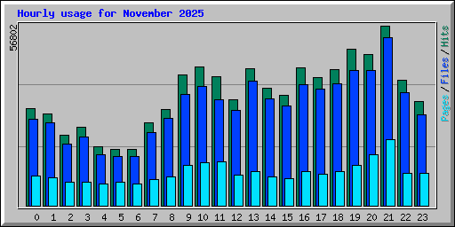 Hourly usage for November 2025
