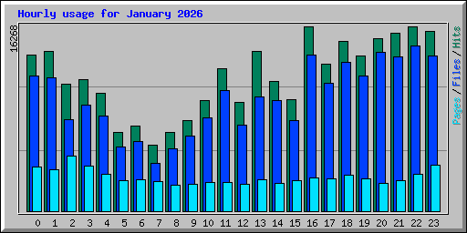 Hourly usage for January 2026