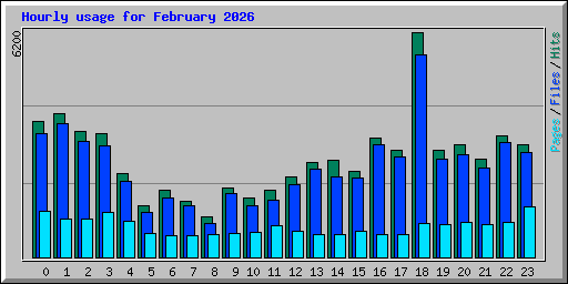 Hourly usage for February 2026