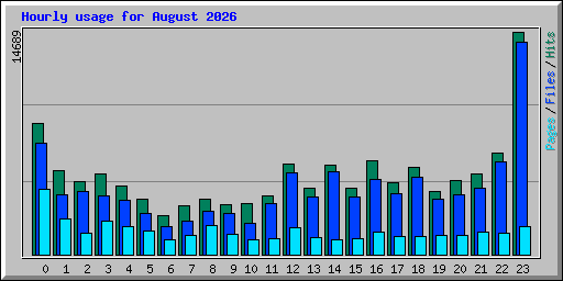 Hourly usage for August 2026