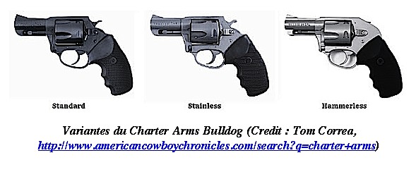 Revolver de poche type Bulldog à système Hammerless. 5 c…